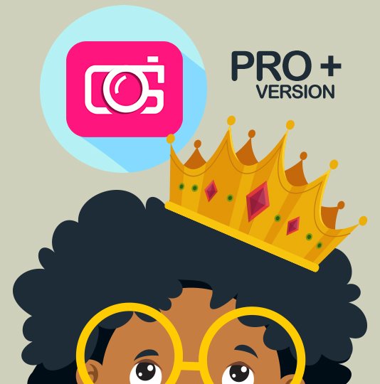 Pro Plus